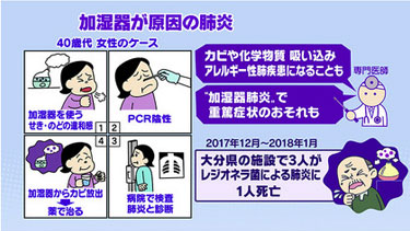 NHK引用